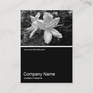 Half&Half Photo 034 - Azaleas Business Card