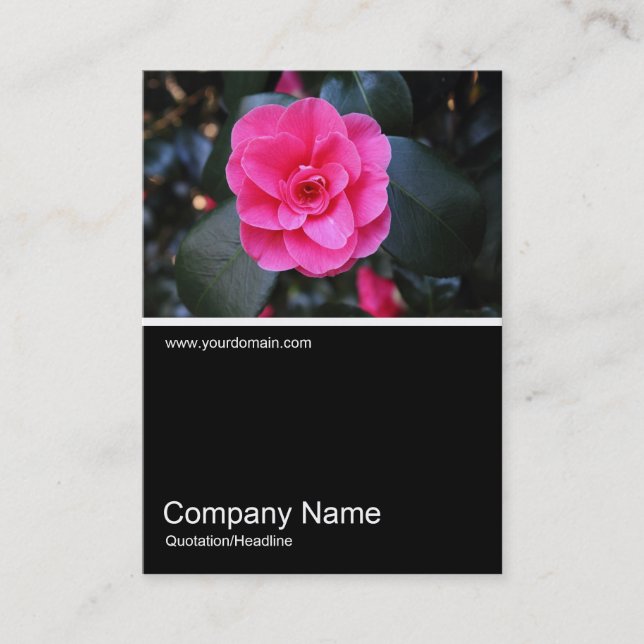 Half&Half Photo 0361 - Pink Camellia Business Card (Front)