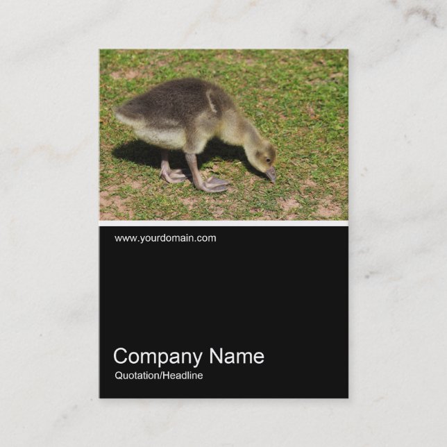 Half&Half Photo 0367 - Gosling Business Card (Front)