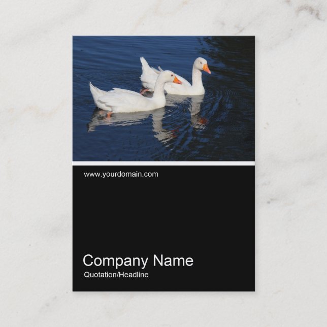 Half&Half Photo 0370 - Emden Geese Business Card (Front)