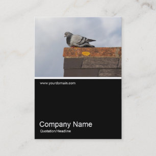 Half&Half Photo 0376 - Good Morning Pigeon Business Card