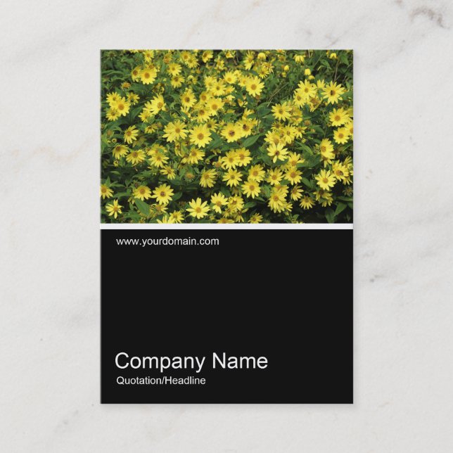 Half&Half Photo 0378 - Yellow Daisies Business Card (Front)