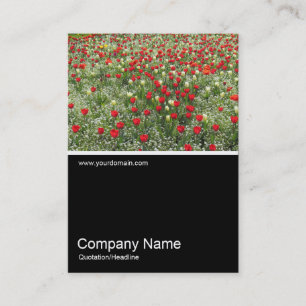 Half&Half Photo 0379 - Bed of Tulips Business Card