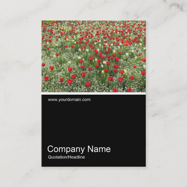 Half&Half Photo 0379 - Bed of Tulips Business Card (Front)
