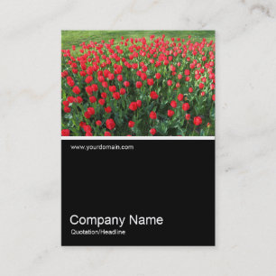 Half&Half Photo 0381 - Bed of Red Tulips 01 Business Card