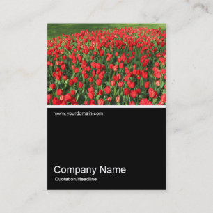 Half&Half Photo 0382 - Bed of Red Tulips 02 Business Card
