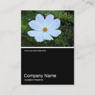 Half&Half Photo 0387 - White Business Card