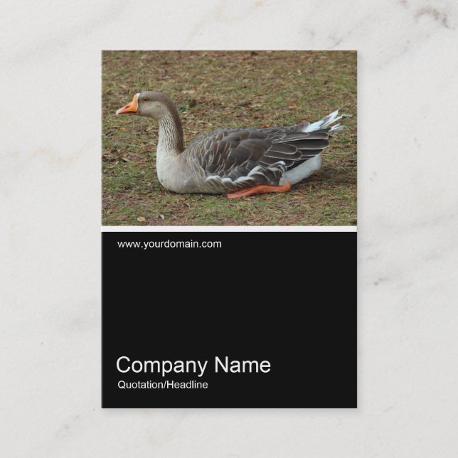 Half&Half Photo 0390 - Greylag Swan Goose Cross Business Card (Front)