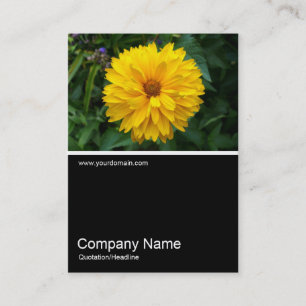 Half&Half Photo 057 - Chrysanthemum Business Card