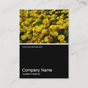 Half&Half Photo 058 - Yellow Daisies Business Card