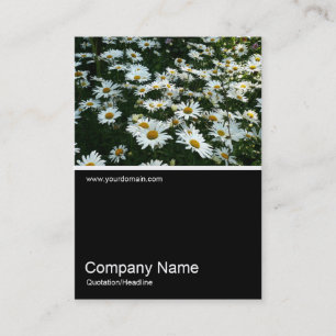 Half&Half Photo 061 - Daisies Business Card