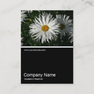 Half&Half Photo 062 - Daisy Business Card