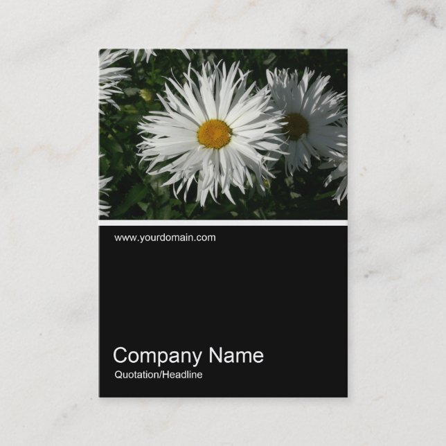 Half&Half Photo 062 - Daisy Business Card (Front)