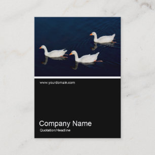 Half&Half Photo - Three Emden Geese Business Card