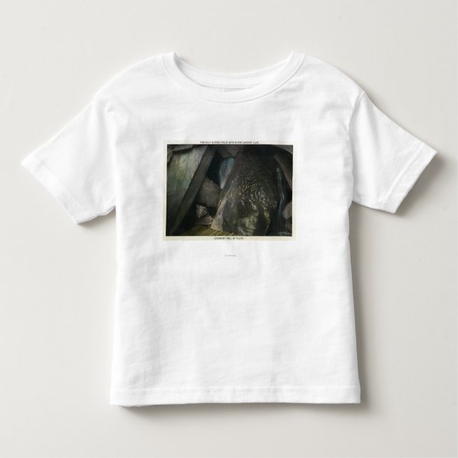 Half Hidden Falls View of Judgment Hall of Plato Toddler T-Shirt (Front)