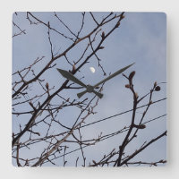 Half Moon in Daylight 