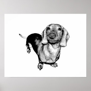 Halftone Black and White Photo Dachsund Doxie Poster