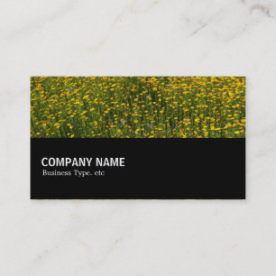 Halfway 0147 - Bed of Yellow Daisies Business Card
