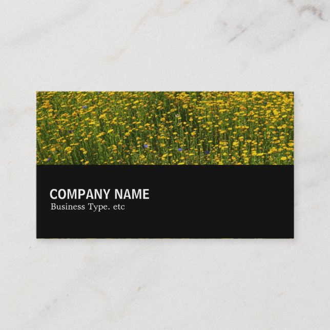 Halfway 0147 - Bed of Yellow Daisies Business Card (Front)