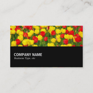 Halfway 02 - Colourful Tulips Business Card