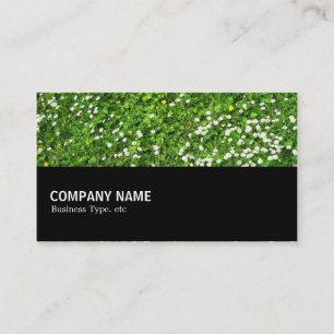 Halfway 030 - Daisies Business Card