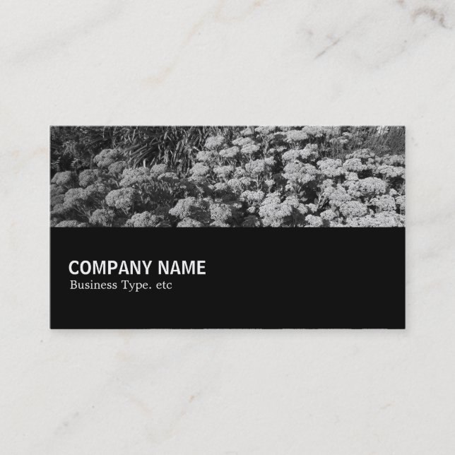 Halfway 079 - Sedum "Autumn Joy" Business Card (Front)