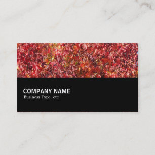 Halfway 083 - Autumn Leaves Business Card