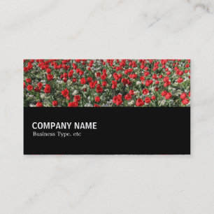 Halfway 097 - Red Tulips and Primroses Business Card