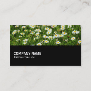 Halfway - Daisy Meadow Business Card
