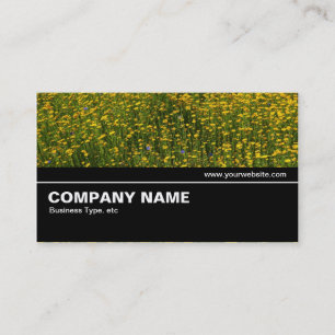 Halfway V2 028 - Bed of Yellow Daisies Business Card