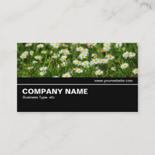 Halfway V2 - Daisy Meadow Business Card