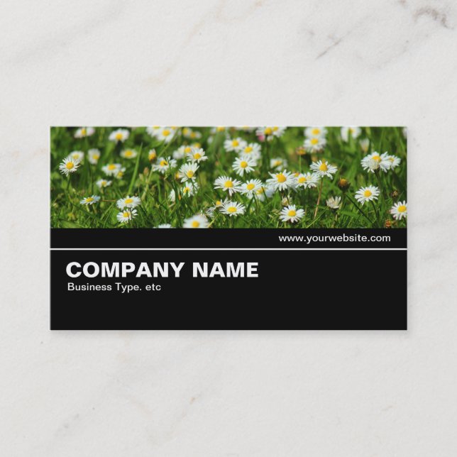 Halfway V2 - Daisy Meadow Business Card (Front)