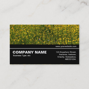 Halfway V3 037 - Bed of Yellow Daisies Business Card