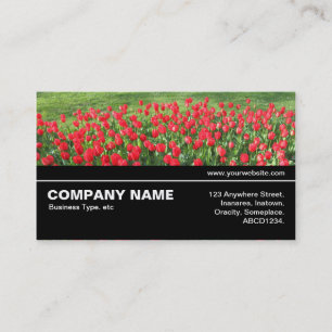 Halfway V3 043 - Bed of Red Tulips 01 Business Card