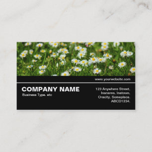 Halfway V3 - Daisy Meadow Business Card