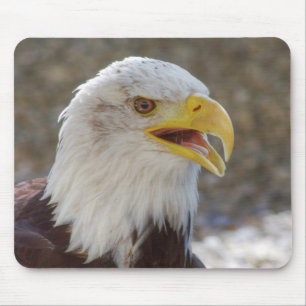 Haliaeetus leucocephalus mouse pad