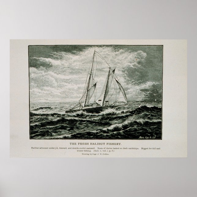 Halibut schooner poster (Front)