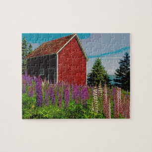 halifax lupine, nova scotia jigsaw puzzle