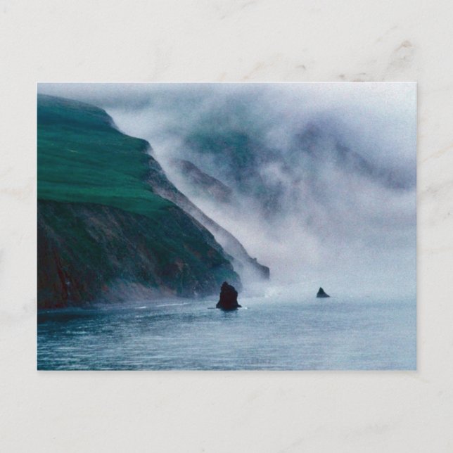 Hall Island, Bering Sea, 1997 Postcard (Front)