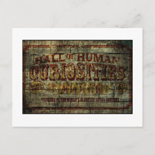 Hall of Human Curiosities Vintage Banner Postcard