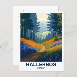 Hallerbos Forest Halle Brabant  Flandria Belgia Postcard