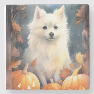 Halloween American Eskimo With Pumpkins Scary Stone Coaster