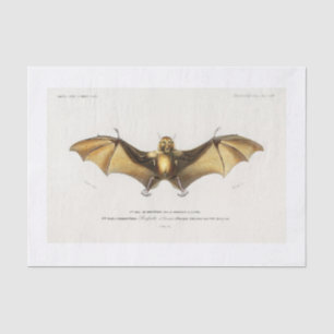 Halloween bat decoupage tissue paper