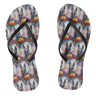 Halloween Belgian Shepherd  With Pumpkins Scary  Jandals