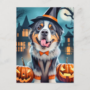 Halloween Bernese Mountain Dog Postcard