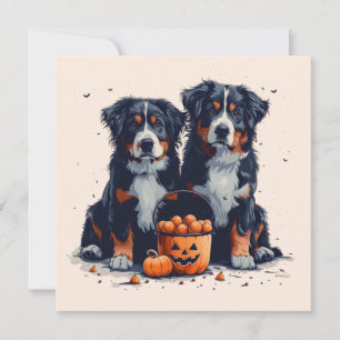 Halloween Bernese Mountain Dogs Pumpkin Invitation