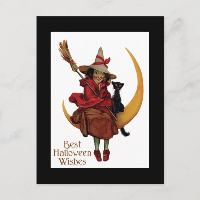 Halloween Black Cat and Witch Postcard (Front)