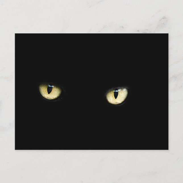 Halloween Black Cat Eyes Postcard (Front)