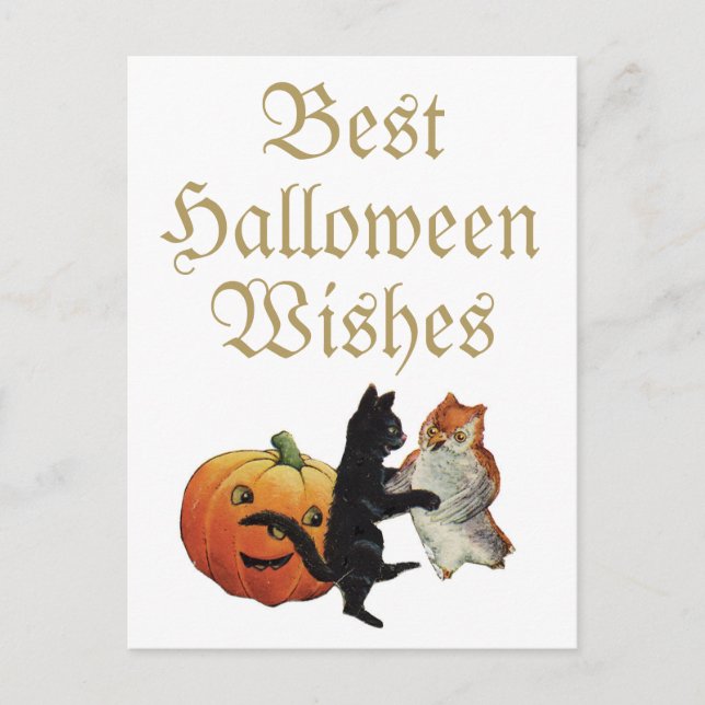 Halloween Black Cat, Owl and Pumpkin Postcard (Front)