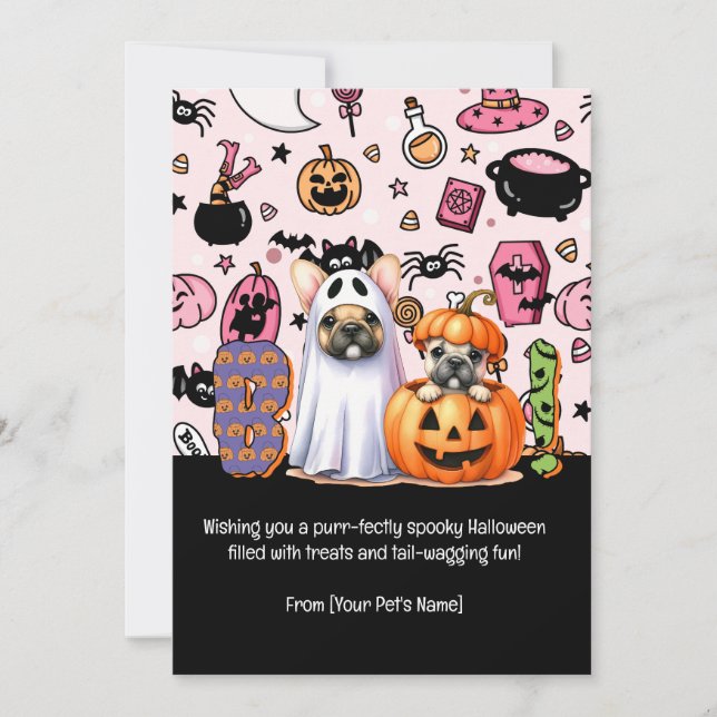 Halloween Black Cat Pet Greeting Holiday Card (Front)